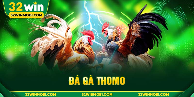 Đá gà Thomo là hình thức đá gà có nguồn gốc từ trường gà Thomo