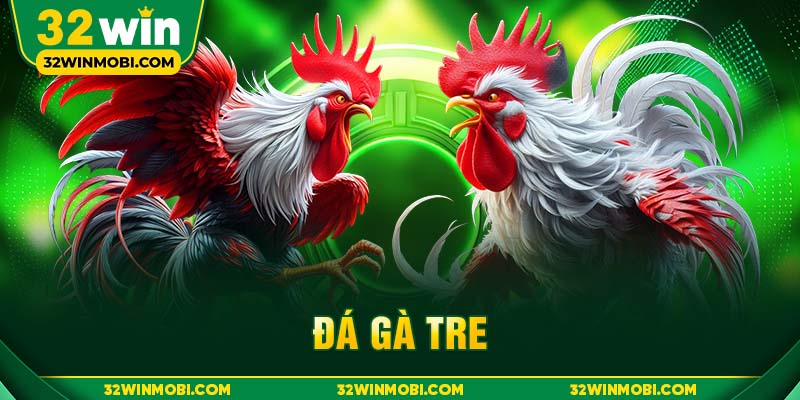 Đá gà tre là hình thức thi đấu giữa các con gà tre